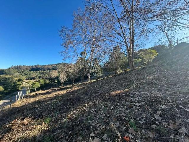 Terreno venda em Região Geográfica Imediata de Bento Gonçalves, Bento Gonçalves