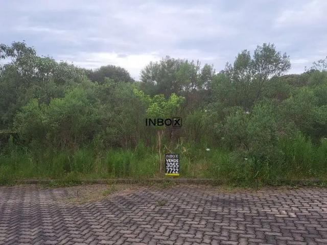 Terreno venda em Região Geográfica Imediata de Bento Gonçalves, Bento Gonçalves