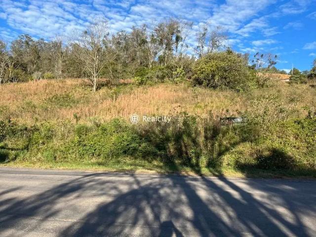 Terreno venda em Região Geográfica Imediata de Bento Gonçalves, Bento Gonçalves