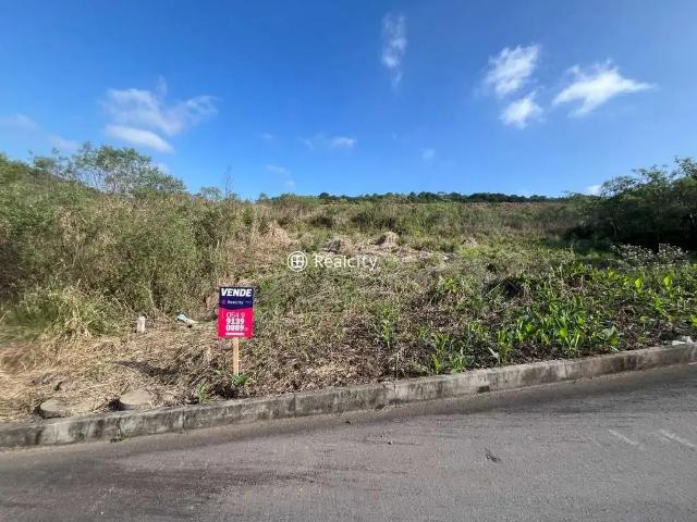 Terreno venda em Região Geográfica Imediata de Bento Gonçalves, Bento Gonçalves