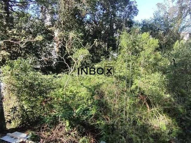 Terreno venda em Bento Gonçalves