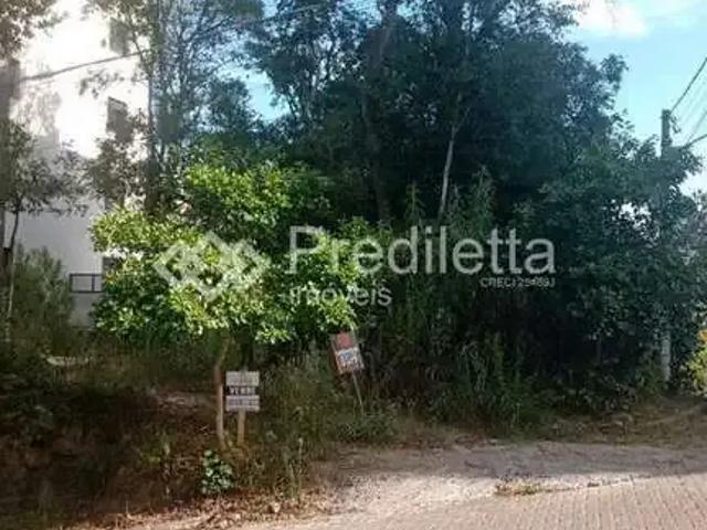 Terreno venda em Região Geográfica Imediata de Bento Gonçalves, Bento Gonçalves