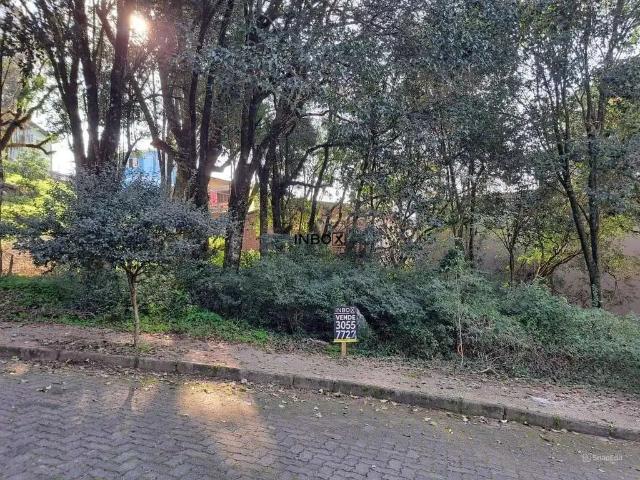 Terreno venda em Região Geográfica Imediata de Bento Gonçalves, Bento Gonçalves
