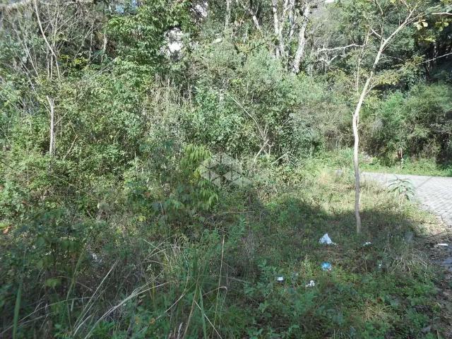 Terreno venda em Região Geográfica Imediata de Bento Gonçalves, Bento Gonçalves