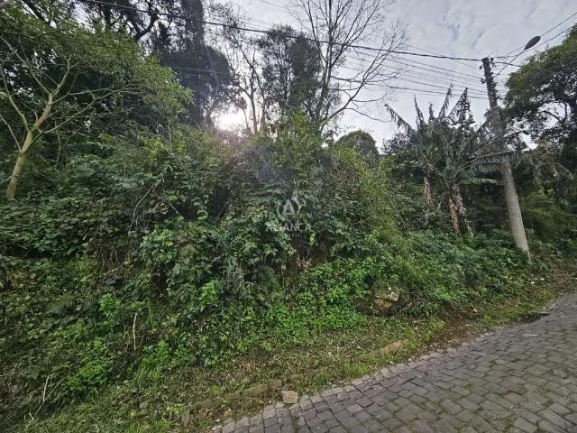 Terreno venda em Região Geográfica Imediata de Bento Gonçalves, Bento Gonçalves