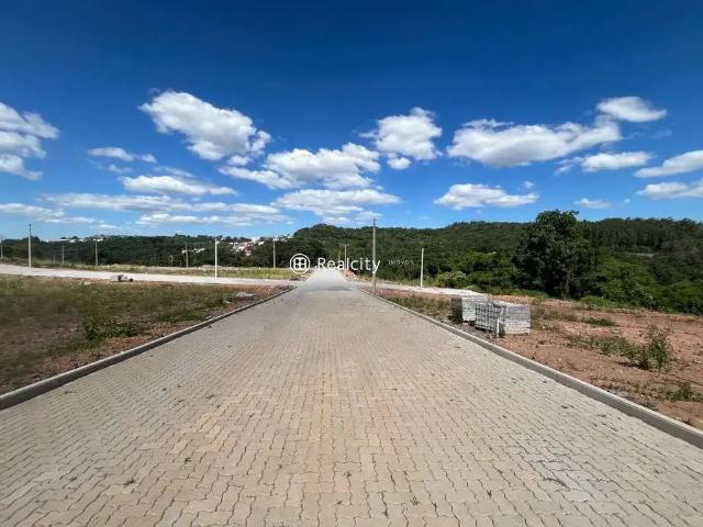 Terreno venda em Região Geográfica Imediata de Bento Gonçalves, Bento Gonçalves