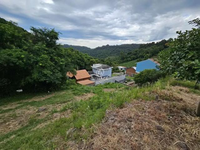 Terreno venda em Região Geográfica Imediata de Bento Gonçalves, Bento Gonçalves