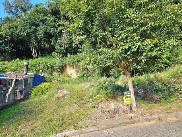 Terreno venda em Região Geográfica Imediata de Bento Gonçalves, Bento Gonçalves