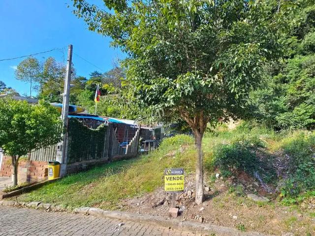 Terreno venda em Região Geográfica Imediata de Bento Gonçalves, Bento Gonçalves