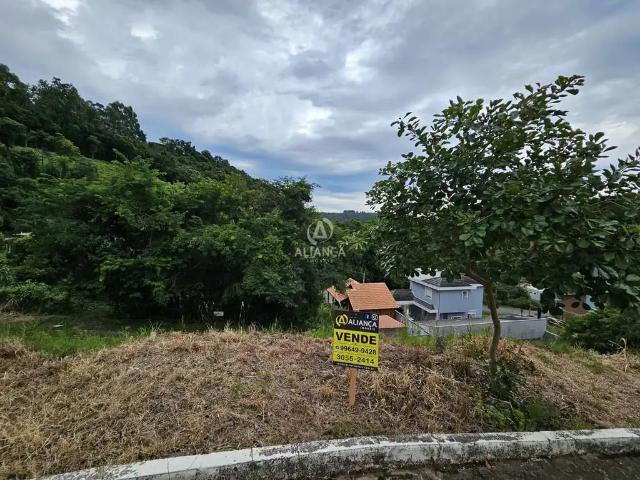 Terreno venda em Região Geográfica Imediata de Bento Gonçalves, Bento Gonçalves
