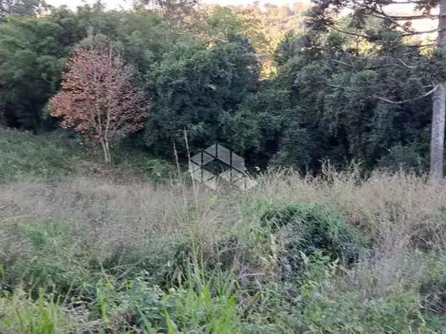 Terreno venda em Região Geográfica Imediata de Bento Gonçalves, Bento Gonçalves