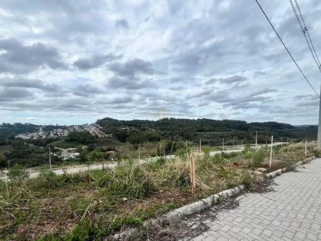 Terreno venda em Região Geográfica Imediata de Bento Gonçalves, Bento Gonçalves