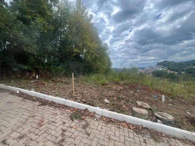 Terreno venda em Região Geográfica Imediata de Bento Gonçalves, Bento Gonçalves