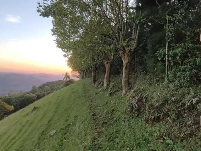 Terreno venda em Região Geográfica Imediata de Bento Gonçalves, Bento Gonçalves