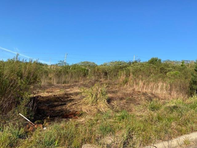 Terreno venda em Bento Gonçalves, Região Geográfica Intermediária de Caxias do Sul