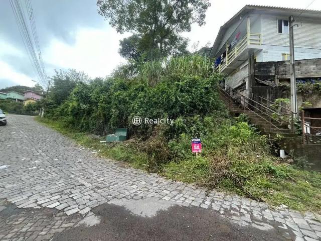 Terreno venda em Região Geográfica Imediata de Bento Gonçalves, Bento Gonçalves