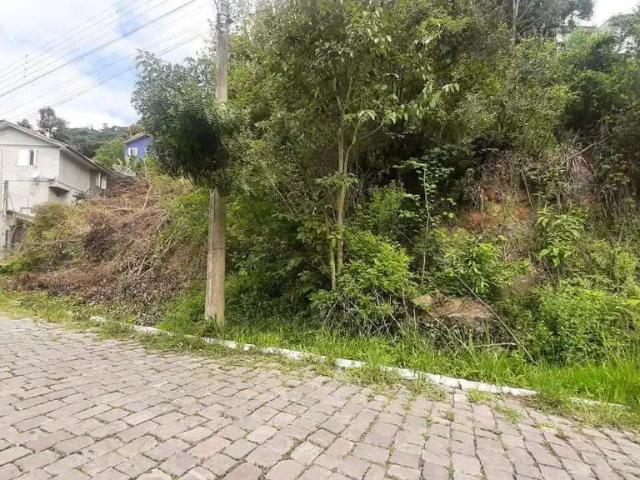 Terreno venda em Região Geográfica Imediata de Bento Gonçalves, Bento Gonçalves