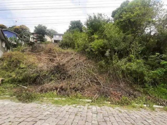 Terreno venda em Região Geográfica Imediata de Bento Gonçalves, Bento Gonçalves
