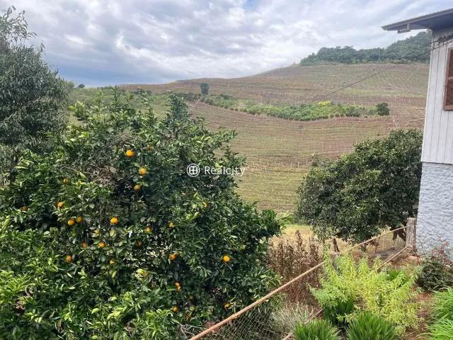 Terreno venda em Região Geográfica Imediata de Bento Gonçalves, Bento Gonçalves