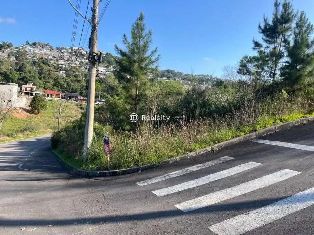 Terreno venda em Região Geográfica Imediata de Bento Gonçalves, Bento Gonçalves