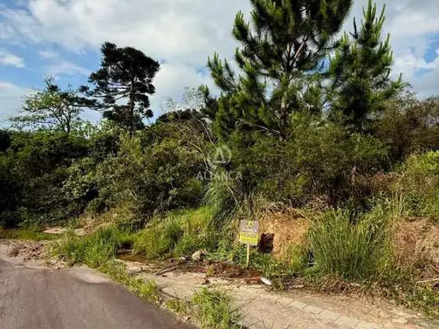 Terreno venda em Região Geográfica Imediata de Bento Gonçalves, Bento Gonçalves