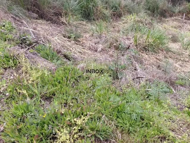 Terreno venda em Bento Gonçalves