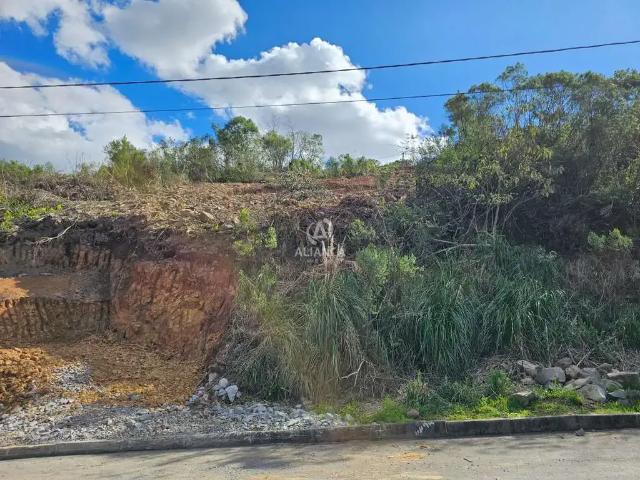 Terreno venda em Região Geográfica Imediata de Bento Gonçalves, Bento Gonçalves
