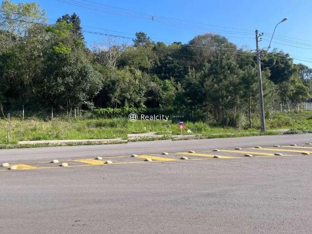 Terreno venda em Região Geográfica Imediata de Bento Gonçalves, Bento Gonçalves