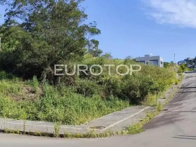 Terreno venda em Região Geográfica Imediata de Bento Gonçalves, Bento Gonçalves