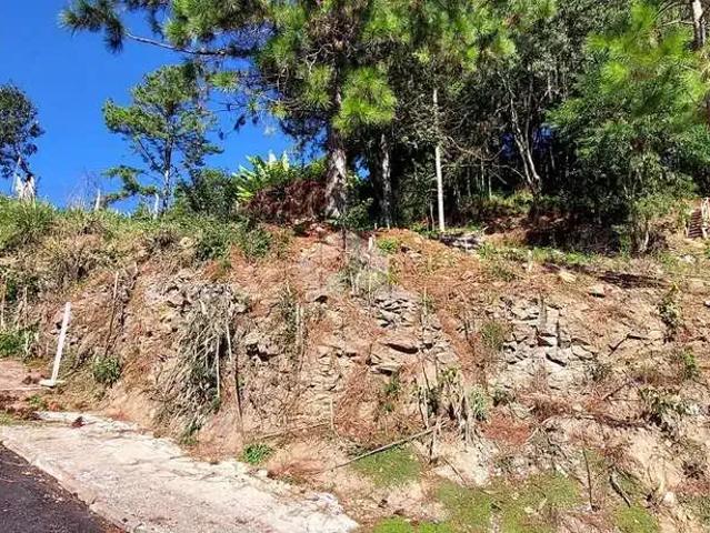 Terreno venda em Região Geográfica Imediata de Bento Gonçalves, Bento Gonçalves