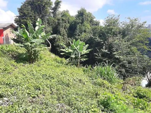 Terreno venda em Região Geográfica Imediata de Bento Gonçalves, Bento Gonçalves