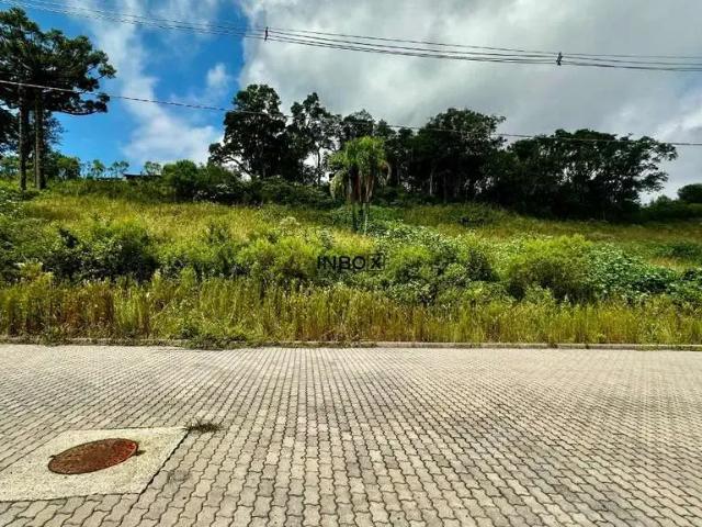 Terreno venda em Região Geográfica Imediata de Bento Gonçalves, Bento Gonçalves