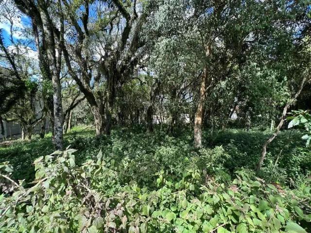 Terreno venda em Bento Gonçalves, Região Geográfica Intermediária de Caxias do Sul