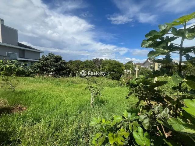 Terreno venda em Região Geográfica Imediata de Bento Gonçalves, Bento Gonçalves