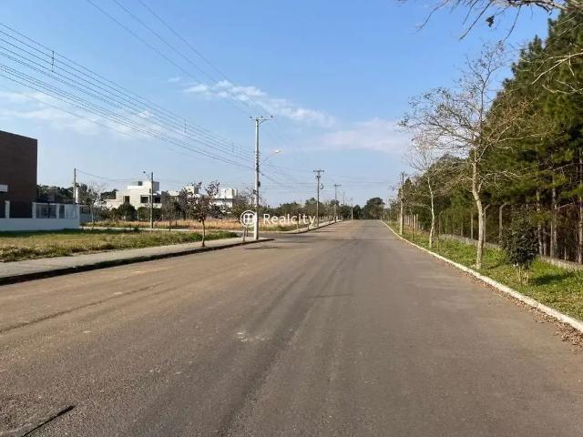 Terreno venda em Região Geográfica Imediata de Bento Gonçalves, Bento Gonçalves