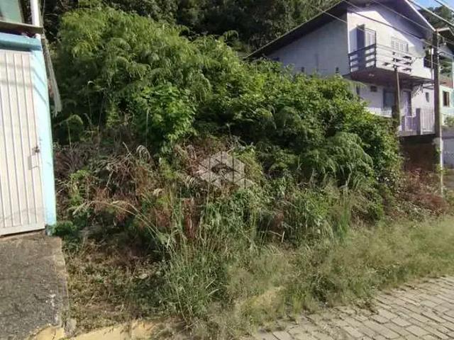 Terreno venda em Região Geográfica Imediata de Bento Gonçalves, Bento Gonçalves