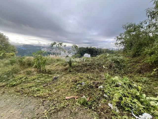 Terreno venda em Região Geográfica Imediata de Bento Gonçalves, Bento Gonçalves