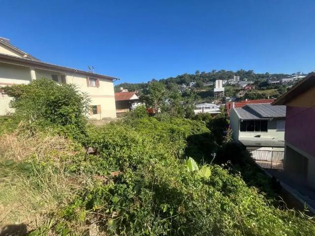 Terreno venda em Região Geográfica Imediata de Bento Gonçalves, Bento Gonçalves