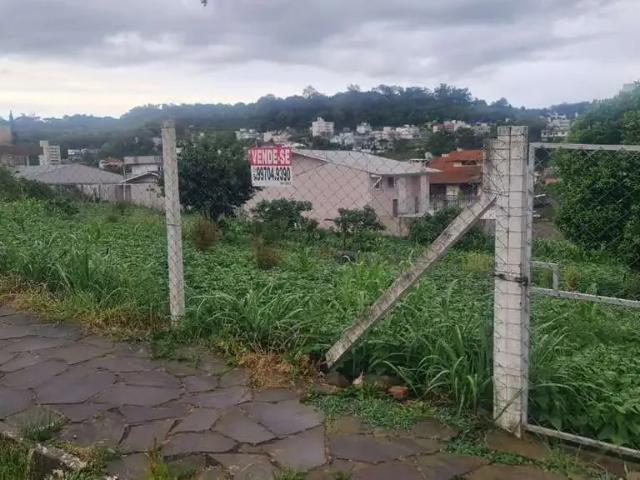 Terreno venda em Região Geográfica Imediata de Bento Gonçalves, Bento Gonçalves