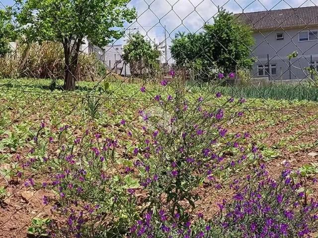 Terreno venda em Região Geográfica Imediata de Bento Gonçalves, Bento Gonçalves