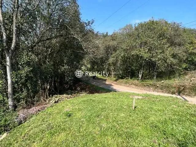 Terreno venda em Região Geográfica Imediata de Bento Gonçalves, Bento Gonçalves