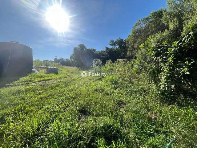 Terreno venda em Região Geográfica Imediata de Bento Gonçalves, Bento Gonçalves