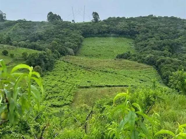 Terreno venda em Região Geográfica Imediata de Bento Gonçalves, Bento Gonçalves