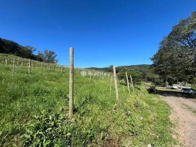 Terreno venda em Região Geográfica Imediata de Bento Gonçalves, Bento Gonçalves