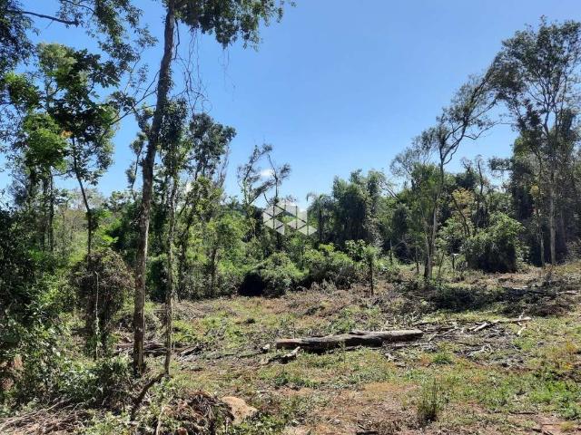 Terreno venda em Região Geográfica Imediata de Bento Gonçalves, Bento Gonçalves
