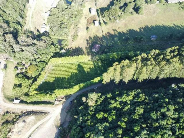 Terreno venda em Região Geográfica Imediata de Bento Gonçalves, Bento Gonçalves