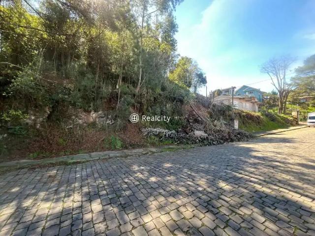 Terreno venda em Região Geográfica Imediata de Bento Gonçalves, Bento Gonçalves