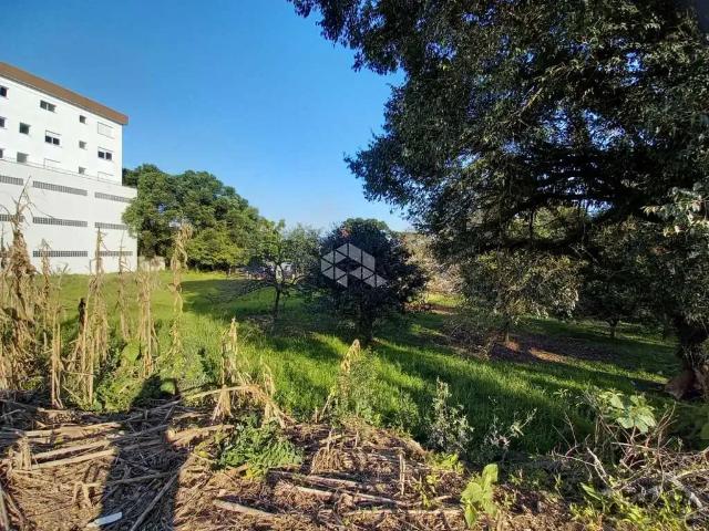Terreno venda em Região Geográfica Imediata de Bento Gonçalves, Bento Gonçalves