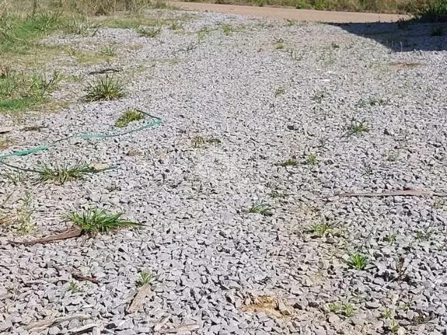Terreno venda em Região Geográfica Imediata de Bento Gonçalves, Bento Gonçalves