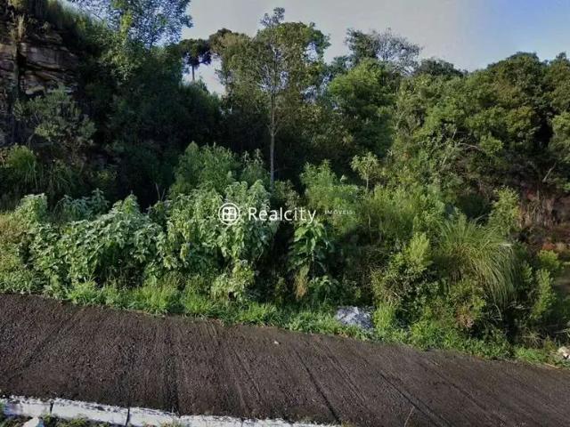 Terreno venda em Região Geográfica Imediata de Bento Gonçalves, Bento Gonçalves